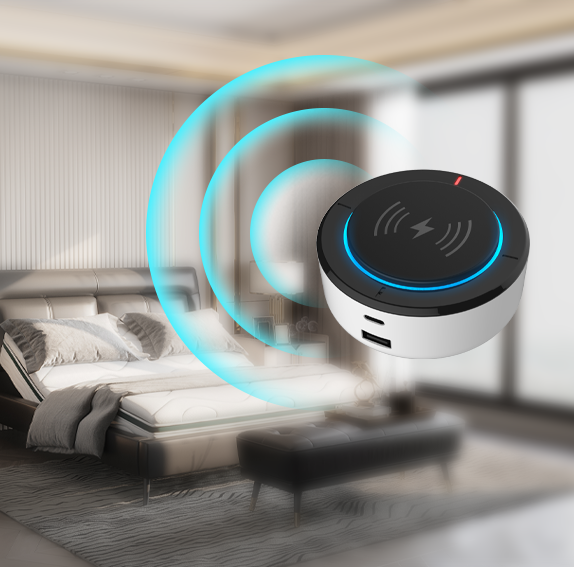 Offline Voice Control
